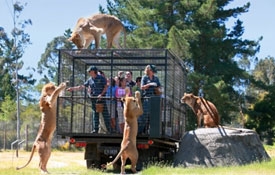 Orana Wildlife Park