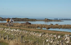 Little River Cycle Trail